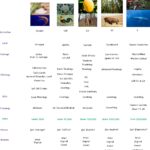 WealthMap