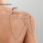 0200_GB21-Crossover_to_Opposite_Hip