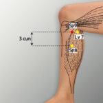 103_Sp09-YinLingQuan