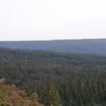 0002_Mystic_Ridge_Arrival