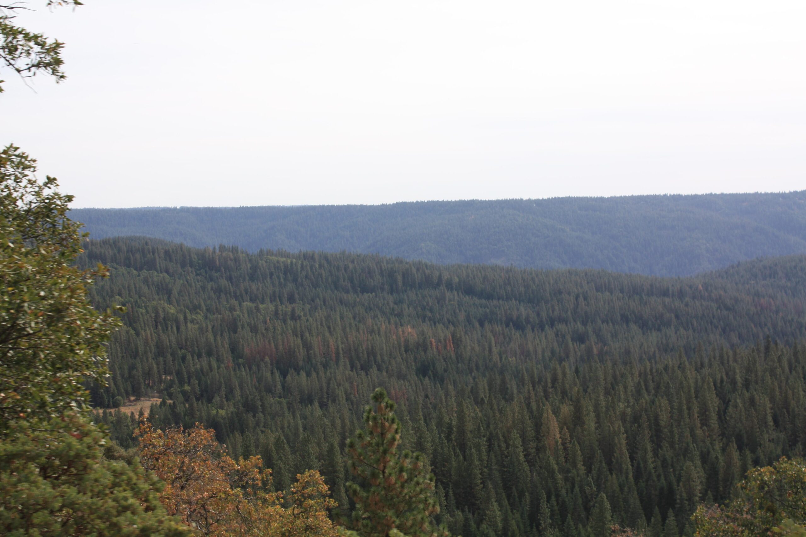 Mystic Ridge